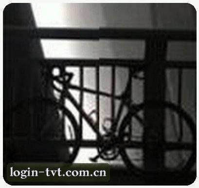陈丽